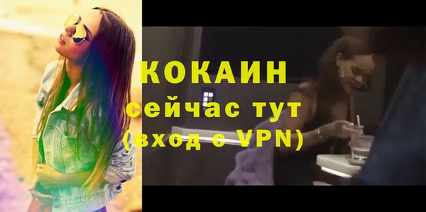 СК Козловка