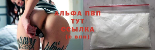 СК Козловка