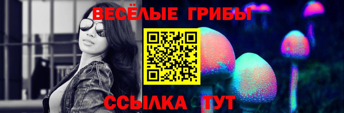 Ялуторовск  Галлюциногенные грибы Psilocybe  Вход с VPN  Псилоцибиновые грибы Psilocybine cubensis 